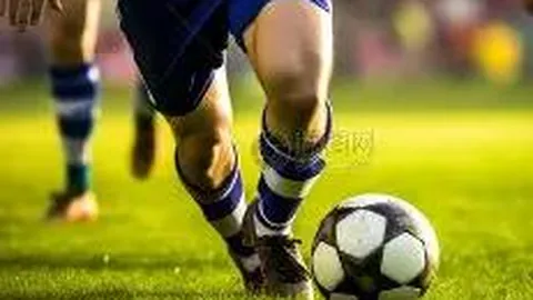 陈天宇夺北马国内男子组冠军！北京日报客户端报道